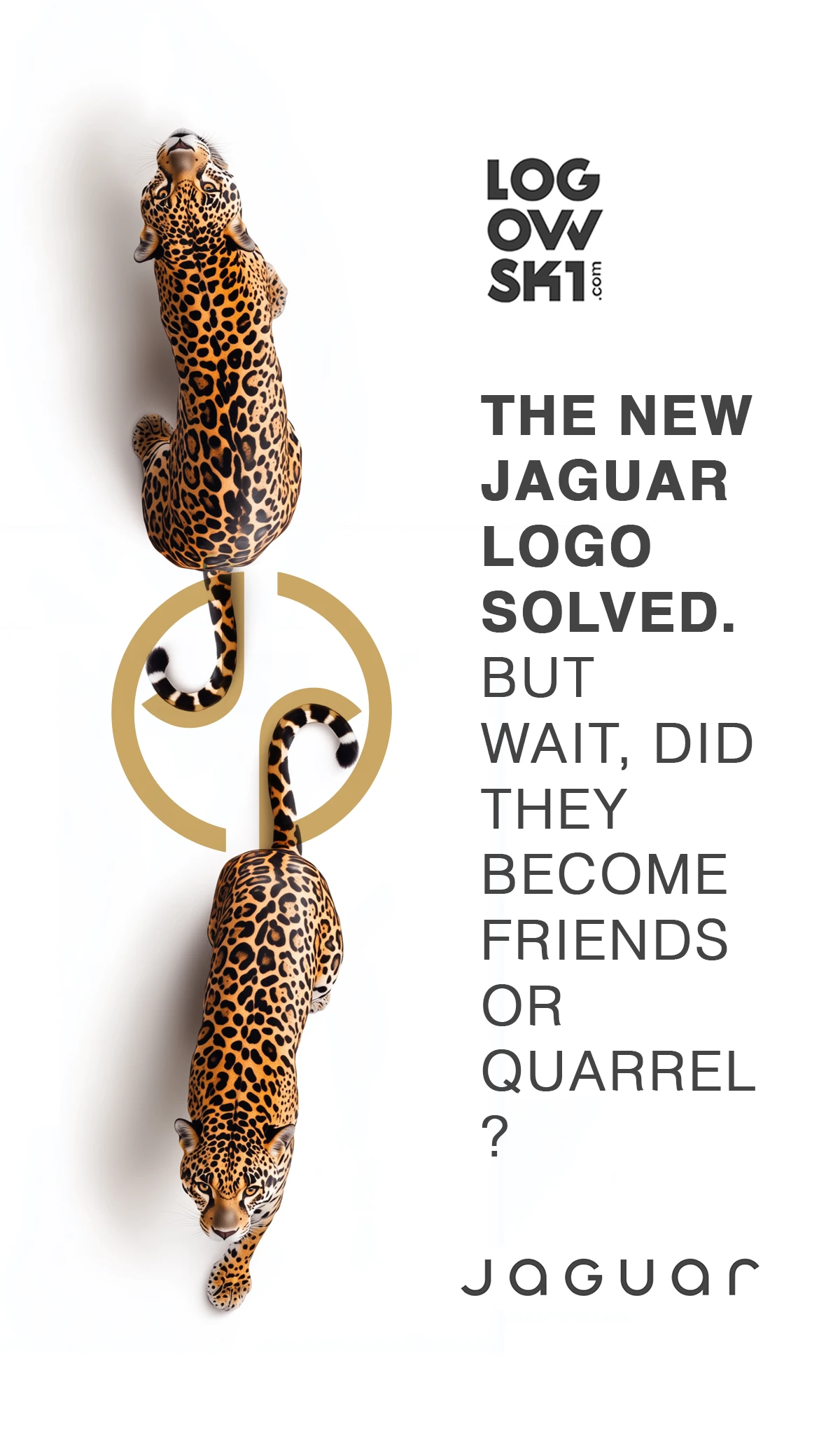 jaguar new logo idea solved 2025